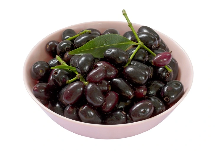 Jambul Benefits ( java plum benefits)