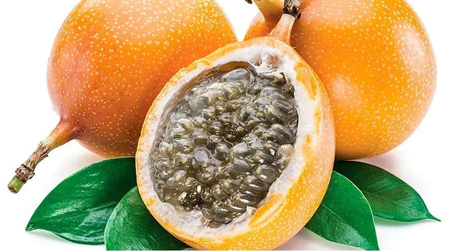 Sweet Granadilla